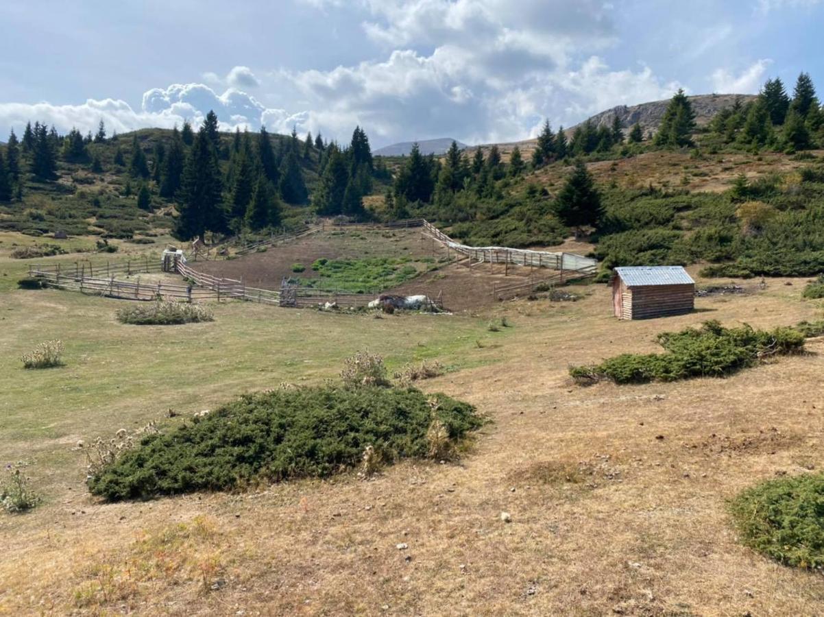 Villa 80 Kodra E Diellit Tetowo Zewnętrze zdjęcie