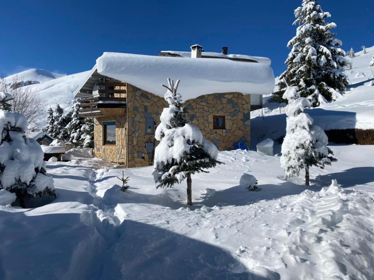 Villa 80 Kodra E Diellit Tetowo Zewnętrze zdjęcie