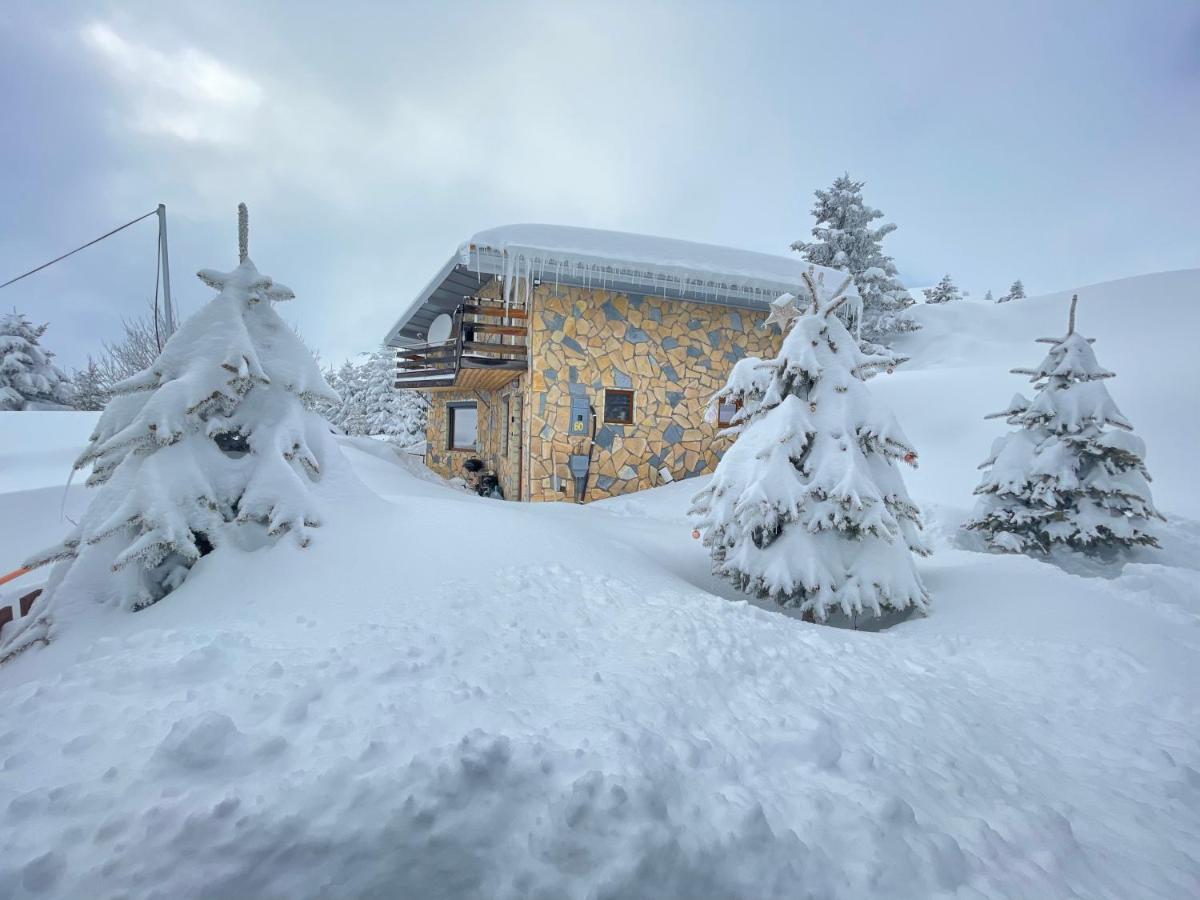 Villa 80 Kodra E Diellit Tetowo Zewnętrze zdjęcie