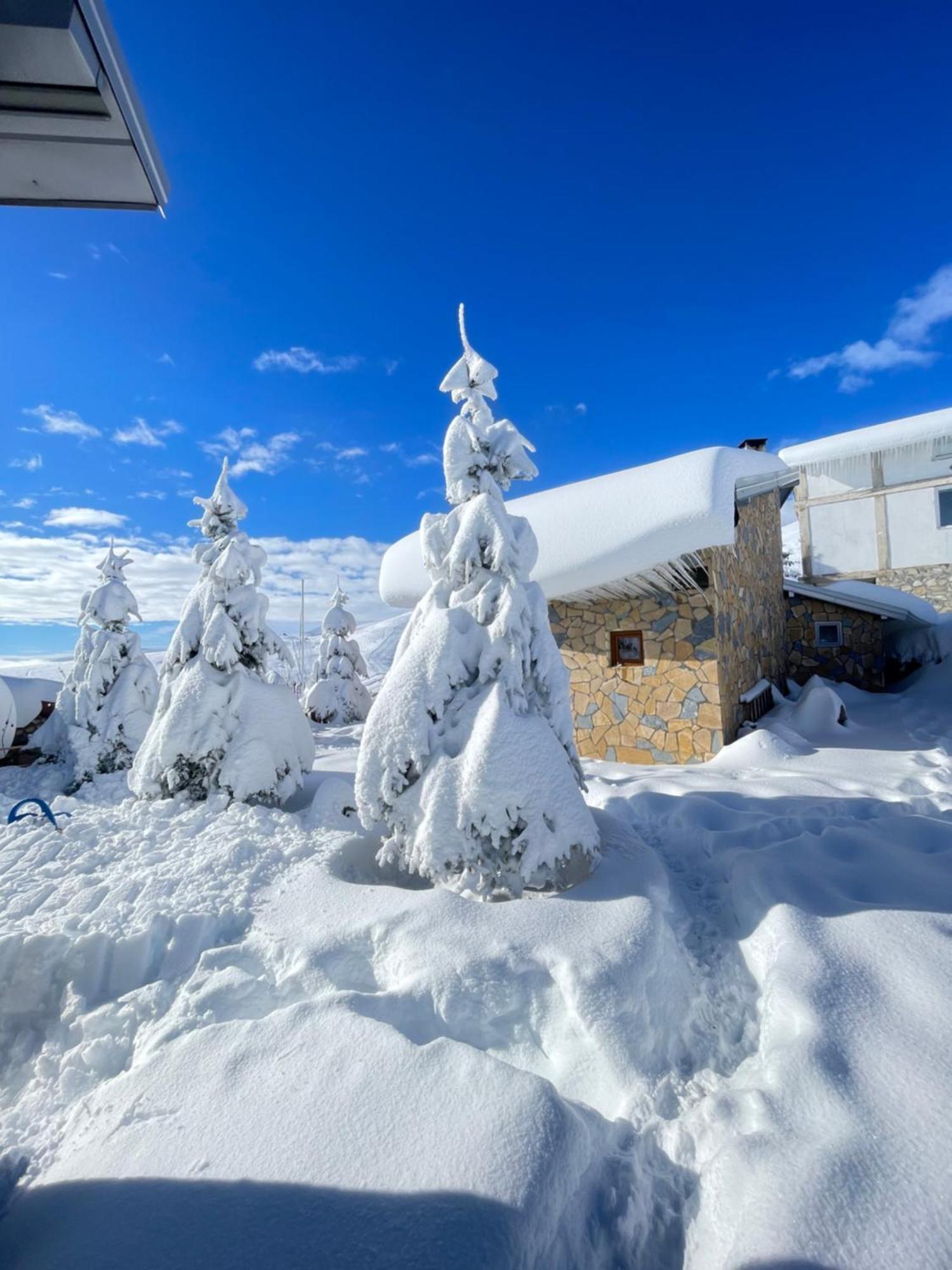 Villa 80 Kodra E Diellit Tetowo Zewnętrze zdjęcie
